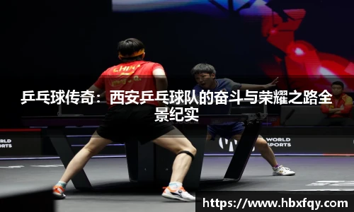 bwin乒乓球传奇：西安乒乓球队的奋斗与荣耀之路全景纪实